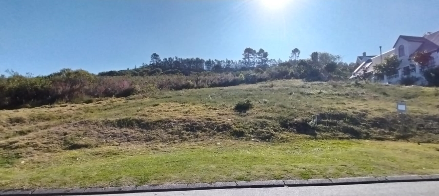 0 Bedroom Property for Sale in Green Pastures Western Cape